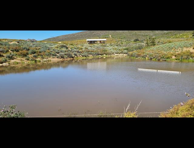 940HA FARM SOLD IN VILLIERSDORP RURAL